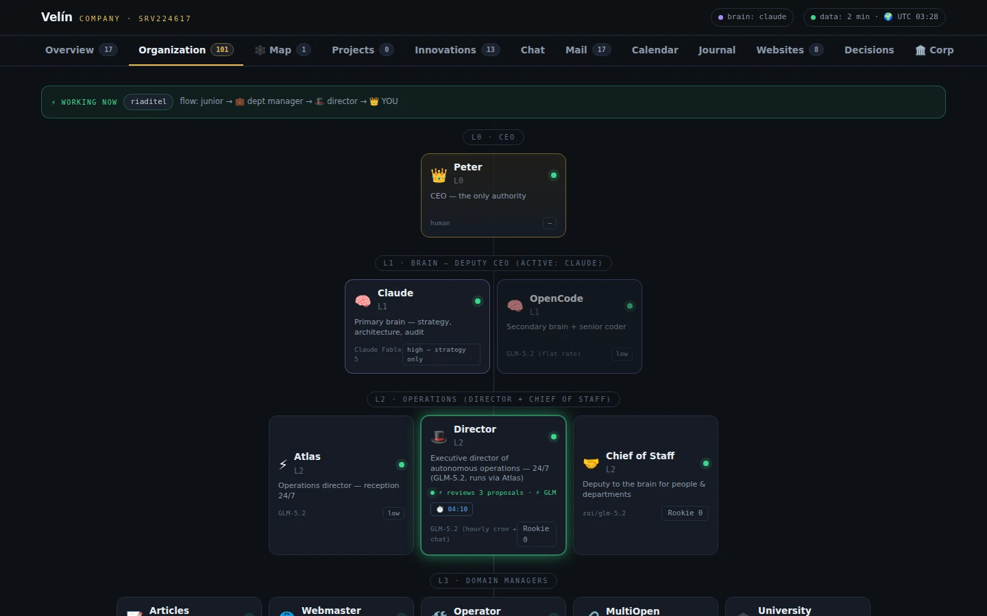 Velin organization chart — CEO, AI brains, director, chief of staff and domain managers